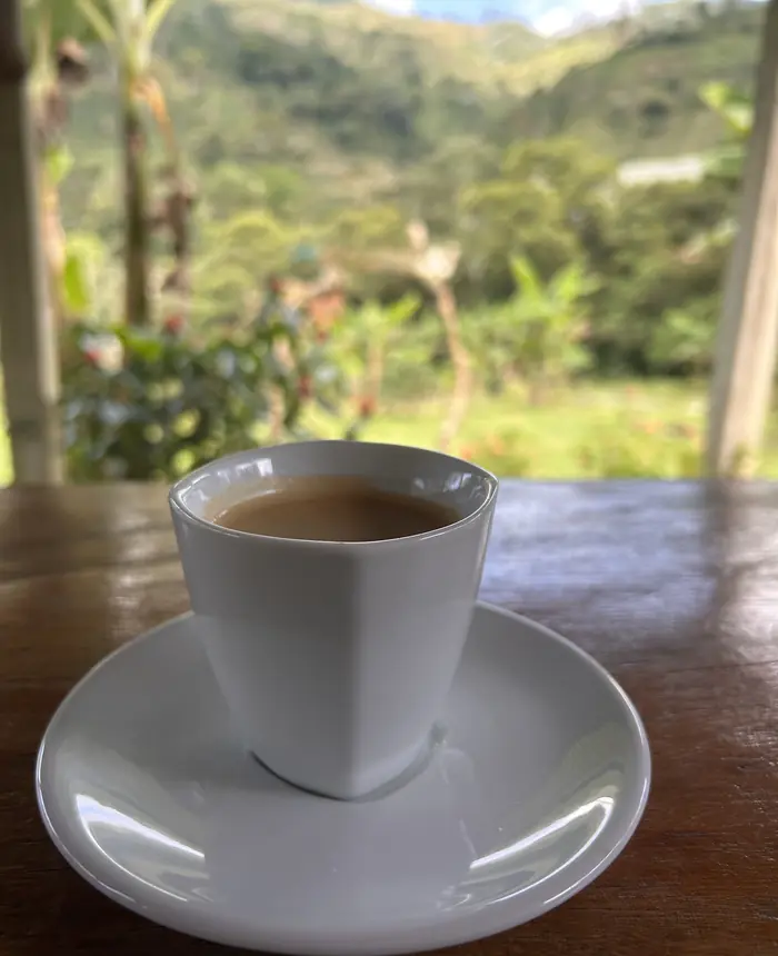 A cup of coffee on a wooden table, with the green hills of the Quindio coffee region behind it